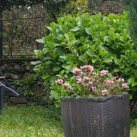 Apartamento Stresa B&B